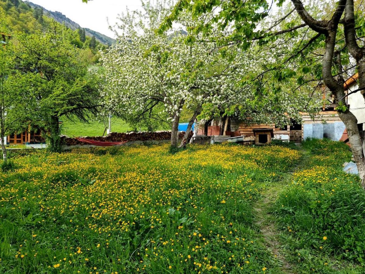 مبيت وإفطار ميستيا Girgola المظهر الخارجي الصورة